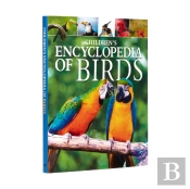 Children'S Encyclopedia Of Birds