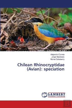 Bertrand.pt - Chilean Rhinocryptidae (Avian)