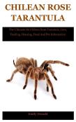 Chilean Rose Tarantula