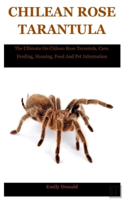 Bertrand.pt - Chilean Rose Tarantula