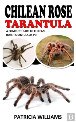 Bertrand.pt - Chilean Rose Tarantula