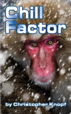Bertrand.pt - Chill Factor