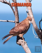 Chimango