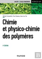 Chimie Et Physico-Chimie Des Polymères (4e Édition)