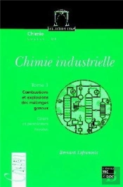 Chimie Industrielle - Tome 3 : Combustions Et Explosions Des Mélanges Gazeux : Cours Et Problèmes Résolus
