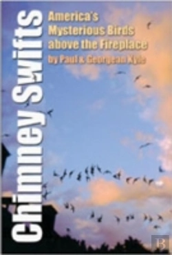 Bertrand.pt - Chimney Swifts