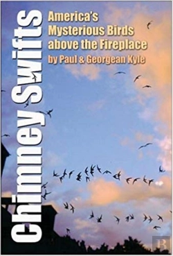 Bertrand.pt - Chimney Swifts
