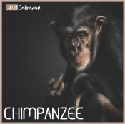 Chimpanzee 2021 Calendar