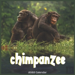 Bertrand.pt - Chimpanzee 2022 Calendar