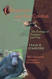 Chimpanzee And Red Colobus