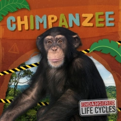 Bertrand.pt - Chimpanzee