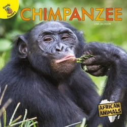 Bertrand.pt - Chimpanzee