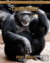 Chimpanzee