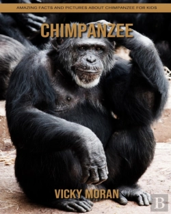 Bertrand.pt - Chimpanzee