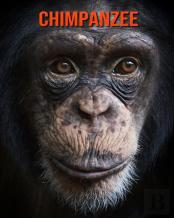 Chimpanzee