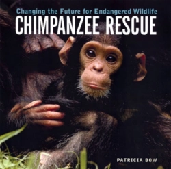 Bertrand.pt - Chimpanzee Rescue
