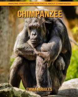 Bertrand.pt - Chimpanzee