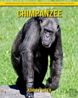 Bertrand.pt - Chimpanzee