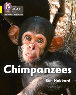 Bertrand.pt - Chimpanzees
