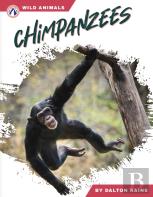 Chimpanzees