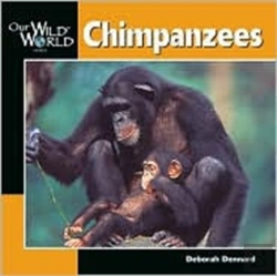 Bertrand.pt - Chimpanzees