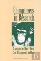 Chimpanzees In Research
