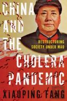 China And The Cholera Pandemic