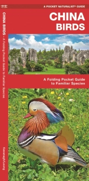 China Birds