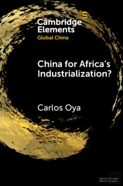 Bertrand.pt - China For Africa'S Industrialization?