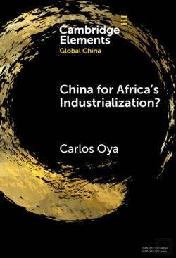 Bertrand.pt - China For Africa'S Industrialization?