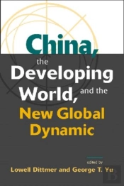 China, The Developing World, And The New Global Dynamic
