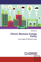 China'S Biomass Energy Policy
