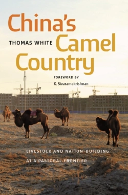 Bertrand.pt - China'S Camel Country