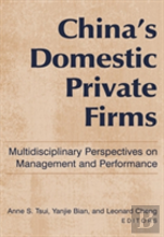 China'S Domestic Private Firms: