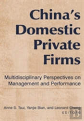 China'S Domestic Private Firms: