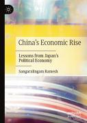 China'S Economic Rise