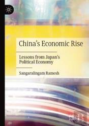 China'S Economic Rise