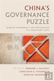 China'S Governance Puzzle