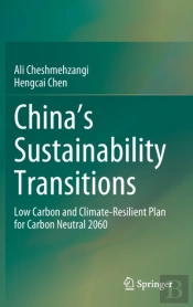 China'S Sustainability Transitions