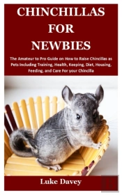 Chinchillas For Newbies