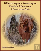 Chincoteague-Assateague Seaside Adventure