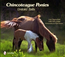 Bertrand.pt - Chincoteague Ponies