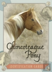 Chincoteague Pony Identification Cards