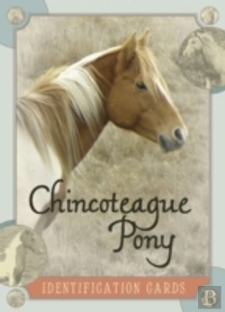 Bertrand.pt - Chincoteague Pony Identification Cards