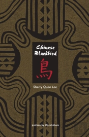 Chinese Blackbird