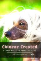Chinese Crested