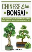 Chinese Elm Bonsai