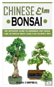 Chinese Elm Bonsai