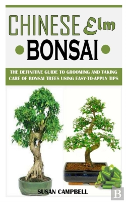 Bertrand.pt - Chinese Elm Bonsai
