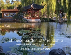 Bertrand.pt - Chinese Garden Of Friendship, Darling Harbour, Sydney, Australia - Pruning Guide By Ken Lamb